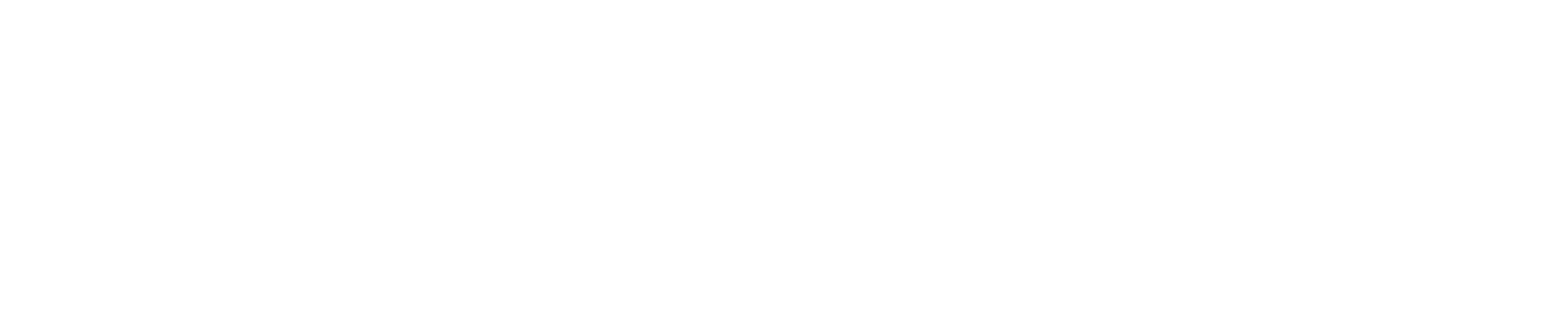 Official Logo – White